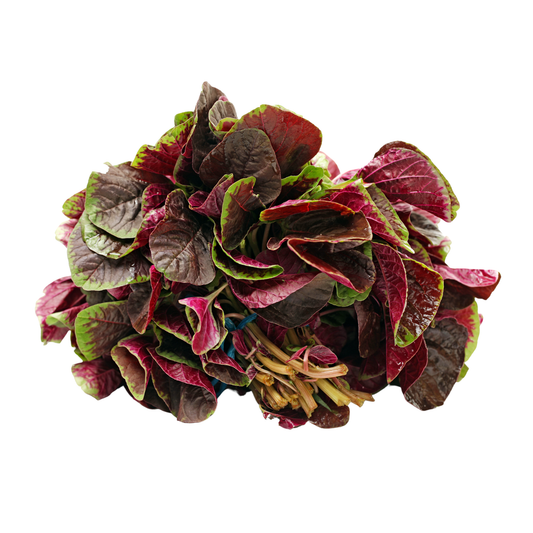 Amaranthus Red