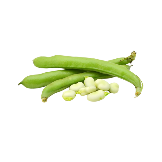 Broad Beans