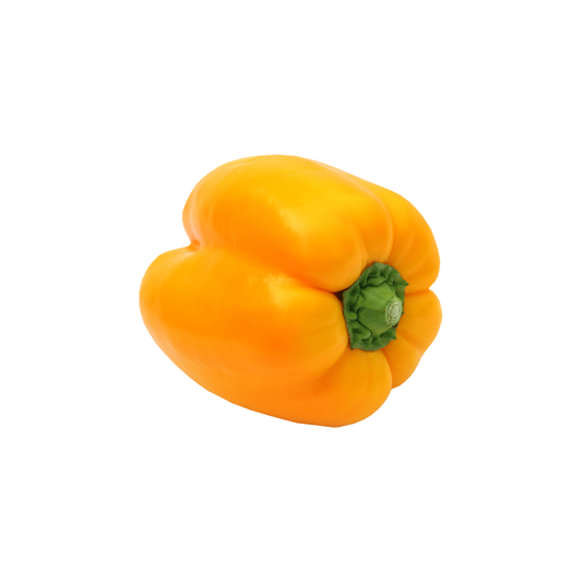 Capsicum Yellow