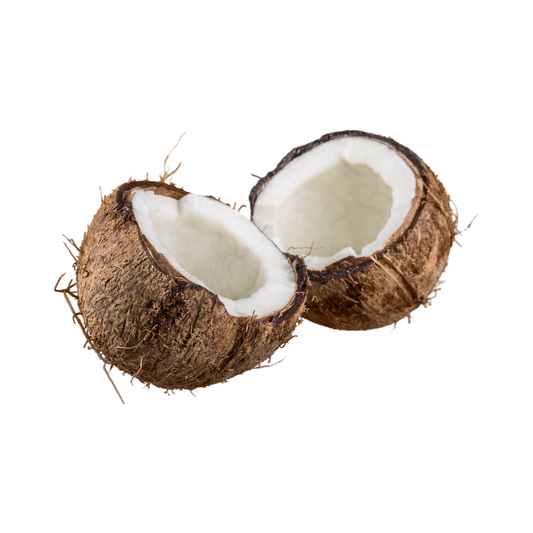 Coconut