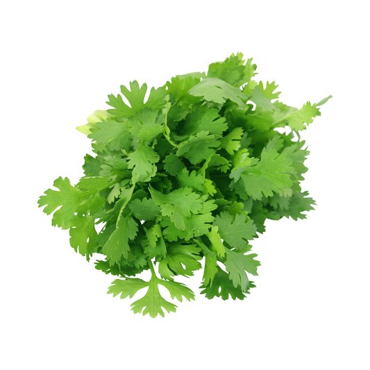 Coriander Leaves