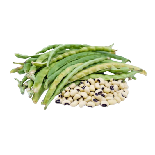 Cowpea
