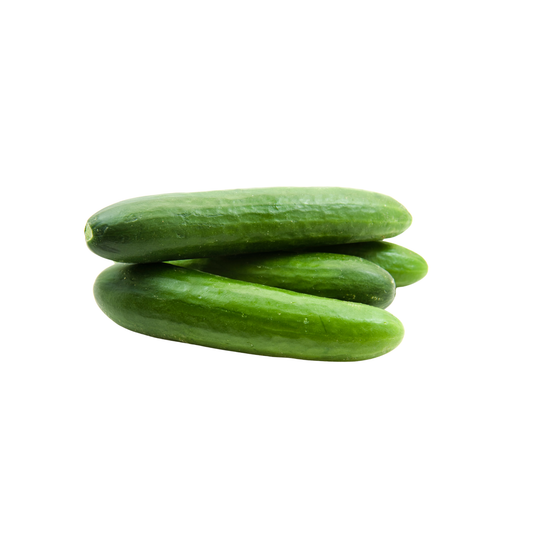 Cucumber