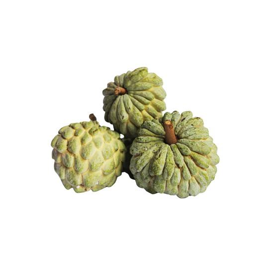 Custard Apple