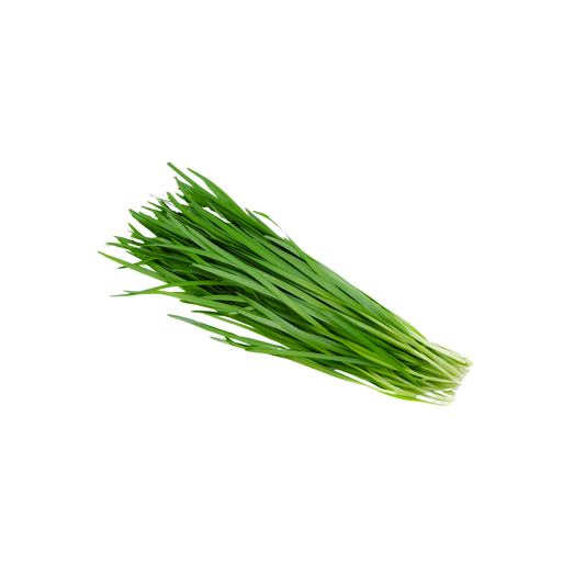 Garlic Chives