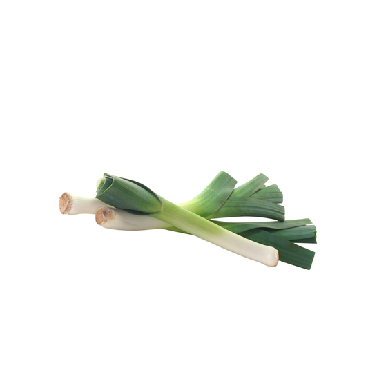 Leek