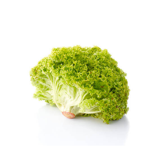 Lettuce Bionda