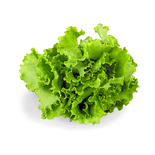 Lettuce Green Salad Bowl