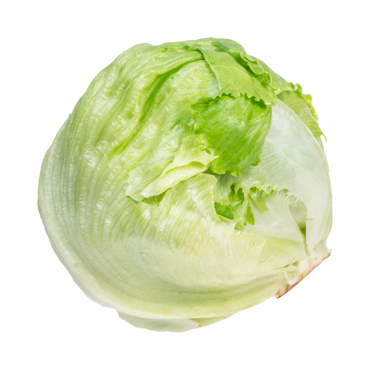 Lettuce Iceberg