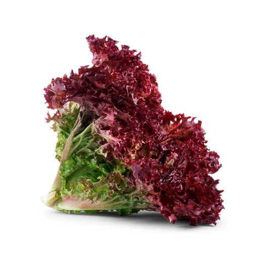 Lettuce Lollo Rossa