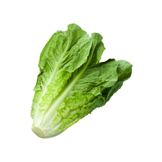 Lettuce Romaine