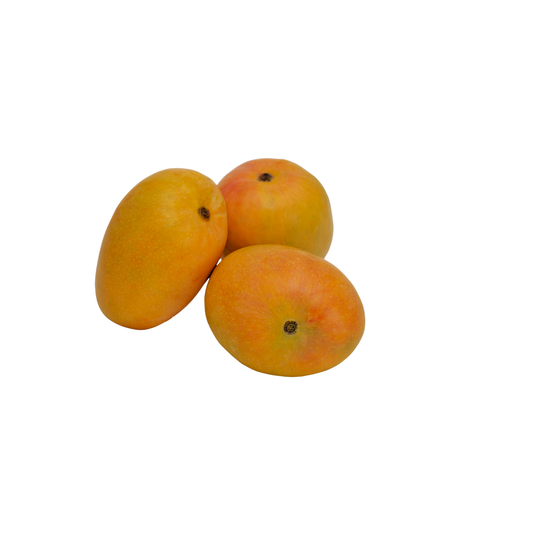 Mango Alfanso