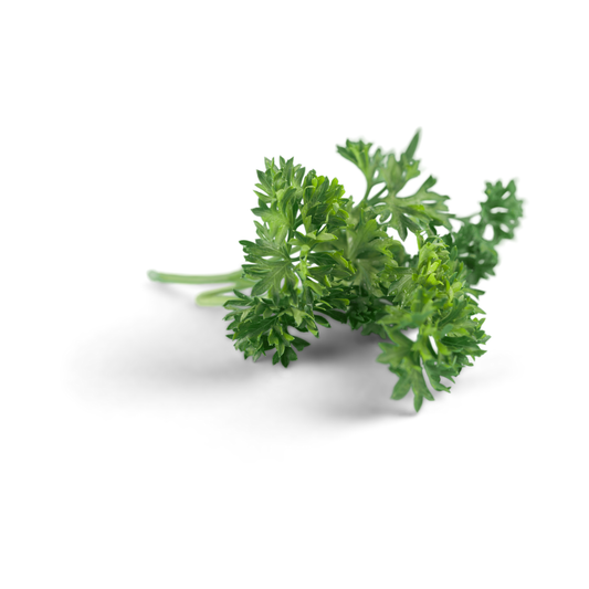 Parsley