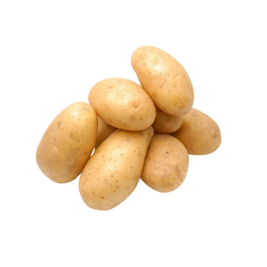 Potato Holland