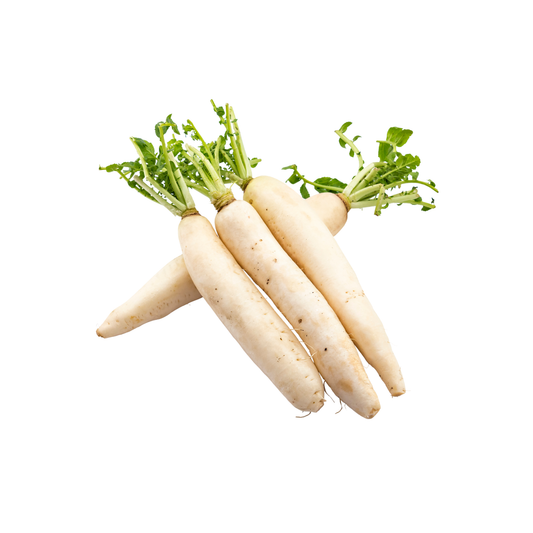 Radish-White