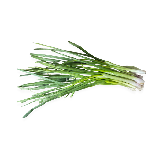 Spring Onion